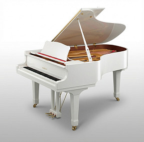 Дисклавир Yamaha DC5X ENPRO PWH