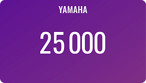 Подарочный сертификат на 25 000 р