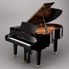 Дисклавир Yamaha DC2X ENST PE