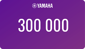 Подарочный сертификат 300 000 р