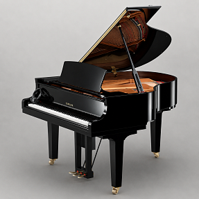 Дисклавир Yamaha DC2X ENST SE