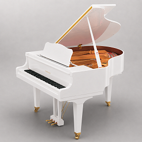 Дисклавир Yamaha DGB1K ENST PWH