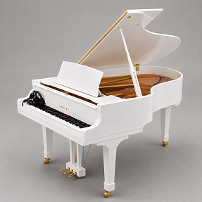 Дисклавир Yamaha DC2X ENST PWH