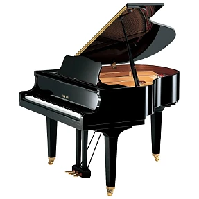 Дисклавир Yamaha DGB1K ENCL PE