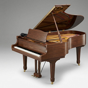 Дисклавир Yamaha DC2X ENST SAW