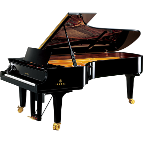Дисклавир Yamaha DCFX ENPRO PE