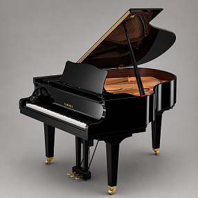 Дисклавир Yamaha DGC2 ENST SE