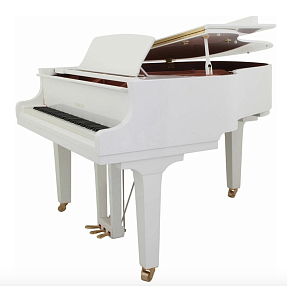 Дисклавир Yamaha DC3X ENPRO PWH