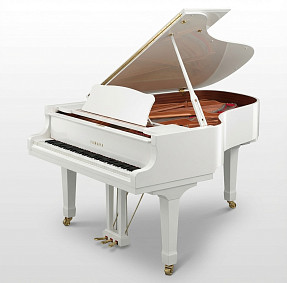 Дисклавир Yamaha DC7X ENPRO PWH