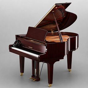 Дисклавир Yamaha DC2X ENST PM