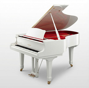 Дисклавир Yamaha DC3X ENPRO PWH