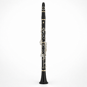 Кларнет Yamaha YCL-SE ARTIST MODEL