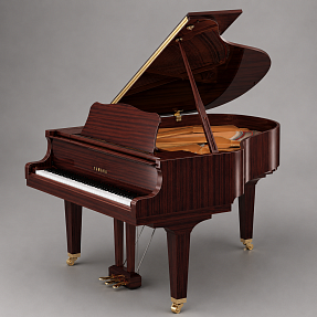 Дисклавир Yamaha DGC2 ENST  PM