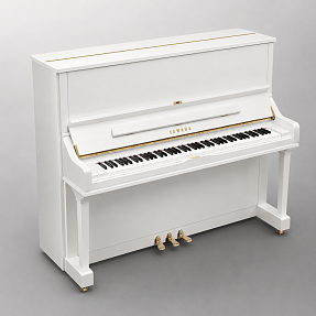 Дисклавир Yamaha DU1 ENST PW