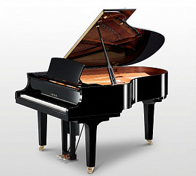 Дисклавир Yamaha DC7X ENPRO PE