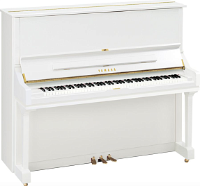 Дисклавир Yamaha DU1 ENST PW