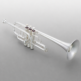 Труба Yamaha YTR-9635