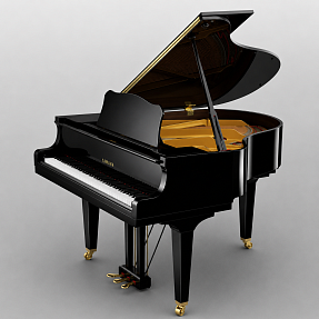 Дисклавир Yamaha DGN1 ENCL PE