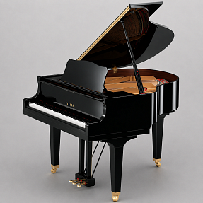 Дисклавир Yamaha DGB1K ENCL PE