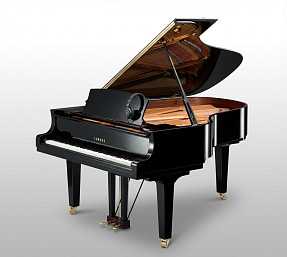 Дисклавир Yamaha DC6X ENPRO PE