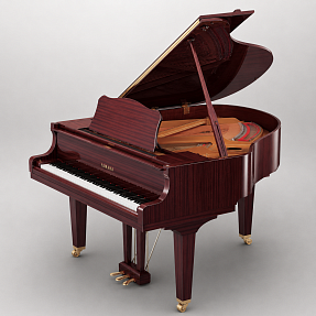 Дисклавир Yamaha DGB1K ENST PM