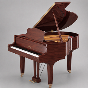 Дисклавир Yamaha DGB1K ENST PAW