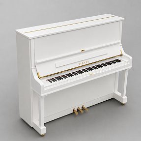 Дисклавир Yamaha DYUS1 ENST PW