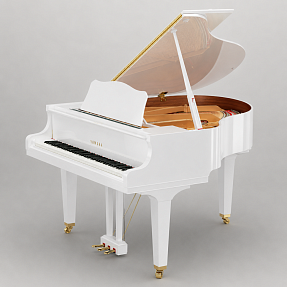Дисклавир Yamaha DGC2 ENST PWH