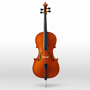 Виолончель Yamaha VC5S 1/2