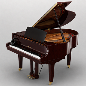 Дисклавир Yamaha DC1X ENST PM