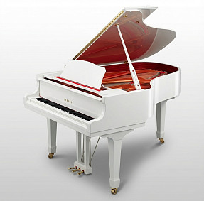 Дисклавир Yamaha DC6X ENPRO PWH