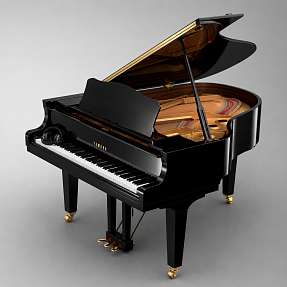 Дисклавир Yamaha DGC2 ENST PE
