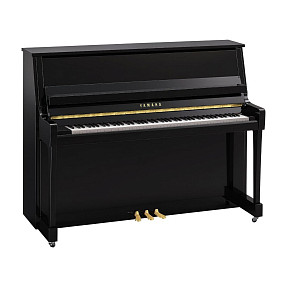 Акустическое пианино Yamaha B20 PE