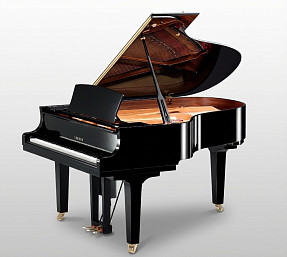 Дисклавир Yamaha DC5X ENPRO PE