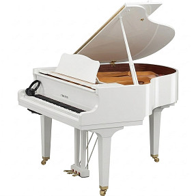 Дисклавир Yamaha DGCB ENCL PWH